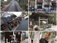 旅館にチェックインする前に、温泉街を散策しました。
坂道が多いです。炭酸坂という坂を登り「炭酸泉源公園」へ。蛇口から炭酸泉が出ます。飲むのは遠慮しましたが（笑）