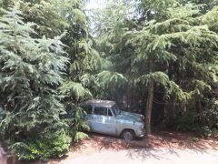 続いてはハリーポッターの世界へ。森に入ると木にぶつかった車が止まっていました。