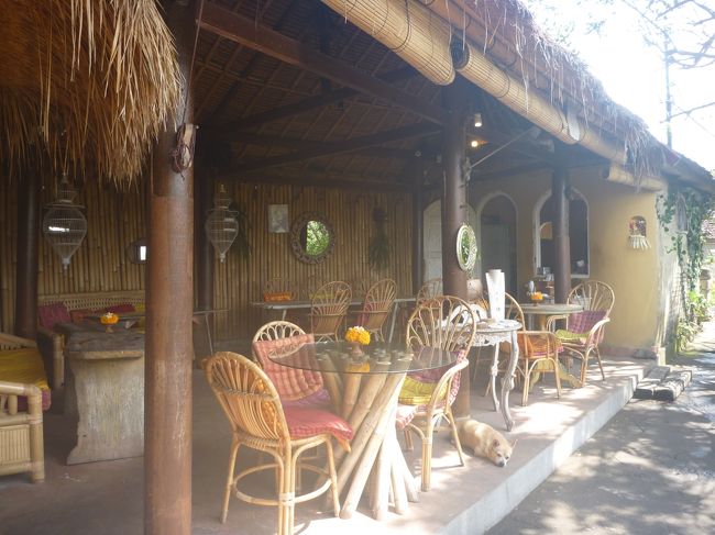 これが、評判の　イエローフラワーカフェですな。<br />想像以上に　こじんまりしてる。