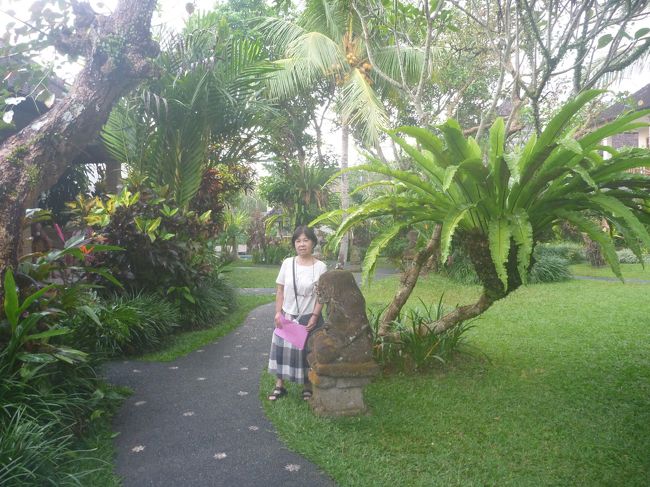 ホテルに戻って一息つきましょう。