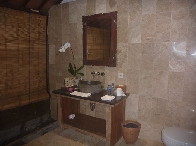 結構広いシャワールーム。<br />お湯の出は、ここもギリギリセーフといったところでした。