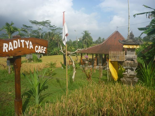 カルサカフェの隣にこんなカフェが出来ていました。カルサカフェの写真はよくあるので今回は撮っていません。