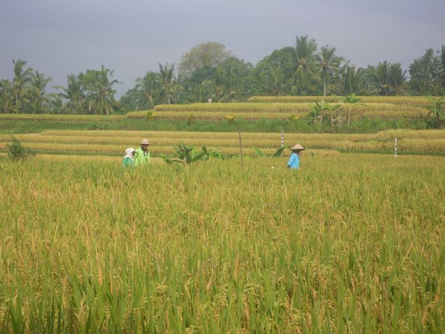 ここまで来ると絵画の中の世界が広がっています。<br />でも、この辺りにも工事中の建物がいくつかありました。<br />カフェやホテルが増えそうです・・・