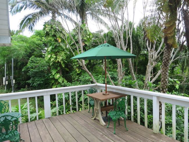 お茶を楽しむには最高です。