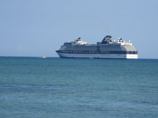 最近大型客船が日本にも来るようになりました。私も乗りたいな。