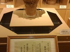 十日町市博物館。
新潟唯一の国宝があるというので、行ってみる。
（「新潟唯一」て･･･）
ここが博物館か？！て感じの建物ですが、しっかり国宝がありました。
教科書で見た！「火焔型土器」！！

2020年の東京オリンピックの聖火台をこの土器のかたちにしよう！運動？していた。
実際に採用されたら、「実物みたよ！」てプチ自慢できるかも。
