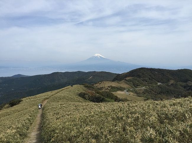 伊豆半島から富士山を眺めよう 達磨山登山と戸田港で温泉と海の幸 戸田 静岡県 の旅行記 ブログ By コロコロパッカーさん フォートラベル