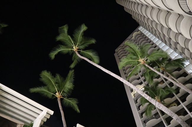 やっぱり、ハワイはいいな。