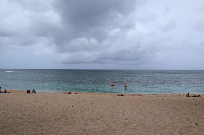 今回はホヌさんに会えませんでした。