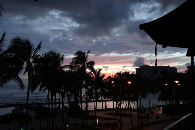 絵になりますね。