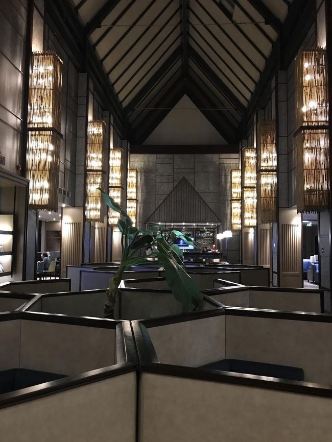 シャワーを浴びたかったのでプラザプレミアムのラウンジへ。<br />落ち着いていていい雰囲気出してます。この後はハノイへ向けて出発。