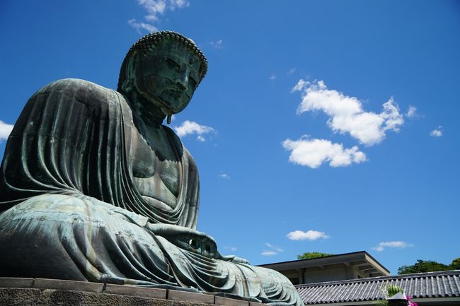 18横浜 鎌倉ふらり旅vol 2 報国寺 鎌倉大仏 長谷寺 鎌倉 神奈川県 の旅行記 ブログ By Notchさん フォートラベル