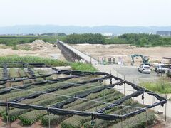 そして！！そんな気持ちをリベンジしようと向かった、次なる目的地の京都府八幡市にある流れ橋！！（長さ356.5メートル、幅3.3メートルの木津川にかかる日本
最長級の木橋。川が増水すると、床板が流れるように作られている。）
しかーーーし！！なあんと！！　ここも工事中でしたあああ.....そんな訳で..
すっかり落ち込んで、家に帰ります...こんな日もありますね..

