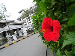 今回宿泊したインターコンチネンタルハノイ。

もともと別のホテル指定でツアーを予約していたのですが、予約後すぐに旅行会社から指定したホテルが利用できなくなったので、追加料金なしでインターコンチかシェラトンに変更して欲しいとのこと。
え～、これってラッキーすぎる！