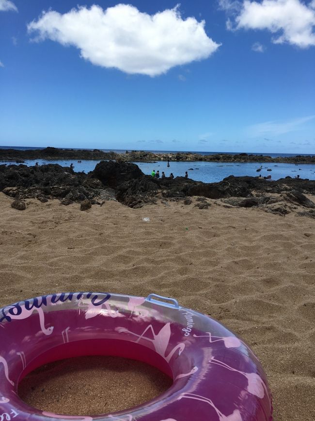 そんなこんなでププケア・ビーチパークに到着！<br /><br />シャークスコーブの方は岩場しかないので、とりあえずタイドプールの方から入って見る‼︎