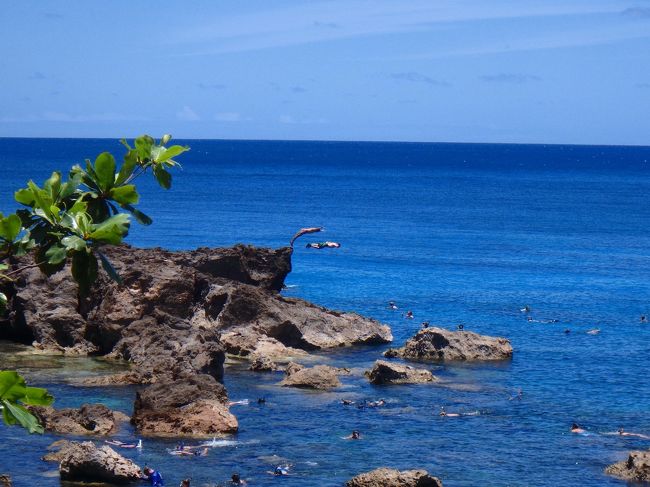 若い子たちは崖からジャンプして遊んだりして楽しそうだなぁ。<br />わたしなんかジャンプどころか、その崖をよじ登るのも怖くてできないよ…！<br /><br />シャークスコーブの方は結構水深が深いので怖くて写真撮れなかったんだけど、魚もいっぱいいるし水も透き通ってて綺麗だった！<br />夫はホヌも見たって‼︎羨ましい…！