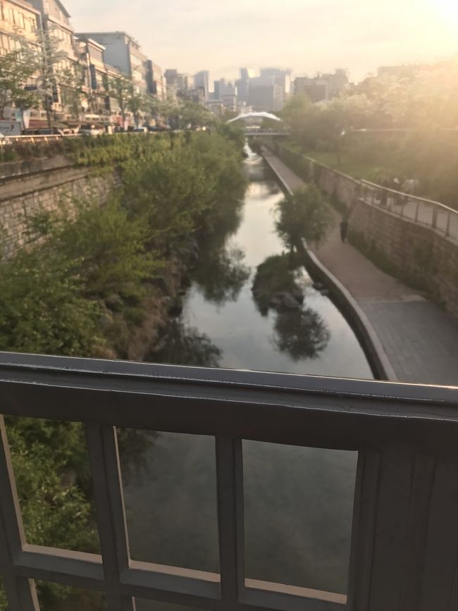 ホテルまでの道のりは意外と長く、この辺りで2人ともゼイゼイしてました。｡ﾟ(ﾟ´Д｀ﾟ)ﾟ｡