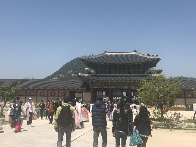 チケットを購入して、いざ中に入ります！