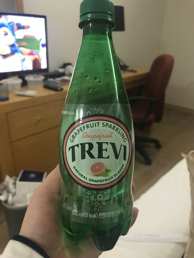 部屋に戻って、あとは寝るだけ。<br /><br />今回1番飲んでたのがこちら。<br />グレープフルーツ味の炭酸水。<br />日本で飲むより美味しく感じて持って帰りたかった。<br />(T ^ T)
