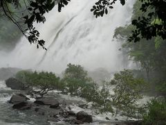 降り続く雨で増水した大川の滝は轟音と共に流れ落ちる様は恐ろしいほど