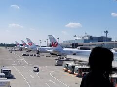 帰りは行きほど気持ちがノリ気ではなく、せっかくのJAL機内食の写真はごめんなさい。

ヘルシンキ → 成田は９時間半の空の旅。
映画を２本観て、２度の食事と軽食があり意外と短く感じました。

そして、５月４日午前08:55遅れずに到着です。

日本の青空も、リガで見た時と同じくらい美しい。

この空は繋がっているんだなと、つくづく感じます。

今回の旅で11,482マイルが貯まりました。
どこかにマイル行けるじゃないの。次はどこかな？

おしまい。