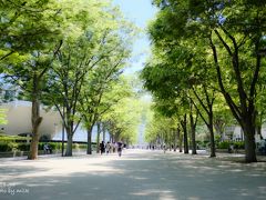 天気も良かったし、近くに公園があるようなので、
お散歩がてら原宿駅方面へ。

結局これが命取りに・・・。
