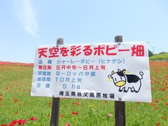 天空を彩るポピー畑。
秩父高原牧場の牧草地の皆野町側、5ｈaにシャーレーポピーが植栽されています。

ポピーまつりは地元の町役場などで連携してやっているようですが、秩父高原牧場は埼玉県の組織で、彩の国ふれあい牧場という動物と触れ合うことができる牧場も運営しているらしい。

この辺りはまだ牧草がメイン。さらに登ると・・・