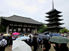 降り出してきた小雨の中、修学旅行生たちで賑わう興福寺･東金堂前。

私も50年ほど前に修学旅行で訪れたのでしょうが、ぜんぜん記憶にありません。

