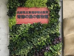 なんでやーぁ！の時間を過ごし、どーにか「淡路夢舞台」に着きました。駐車場は、立派な地下に広々とありました。（後でHP覗いたら、ナビでの来館注意！とありました　－－；）
野外ローズガーデンと奇跡の星の植物園と２つ見れる鑑賞券を購入して中に…