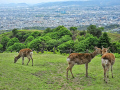 さらに歩いて三重目。
標高342mの若草山に到着。

近くまで車で来られるので、二重目付近では幼稚園児たちがピクニックを楽しんでいました。