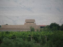 葡萄棚の向こうに高昌故城が見えてきました