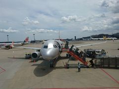 ジェットスターを利用して成田空港から高松空港に向かいます。これから、搭乗予定の機材です。いつも思うのですが、第３ターミナル遠いです〜。