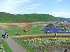 風車からの景色。
綺麗ですが、もう少し高さが欲しいところですね(苦笑)