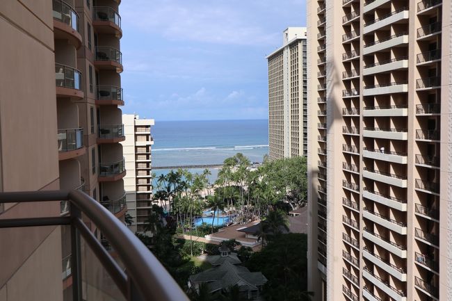 ８日目<br />今日は帰るだけです。