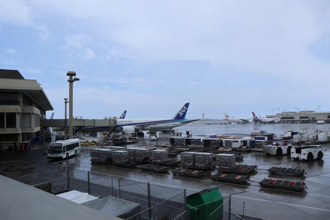 レンタカーを返却して空港到着。開放的なコンコースでいいですね。