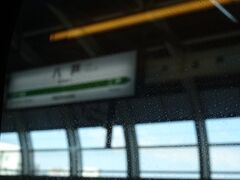 すべての駅を撮りたかったのですがちょうど良いところにとまらず・・・
次は新青森駅に停車
八戸駅ではピンボケ

盛岡駅では秋田新幹線のこまちを連結