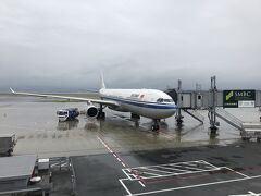 初めてのエアチャイナです。A330-300です。