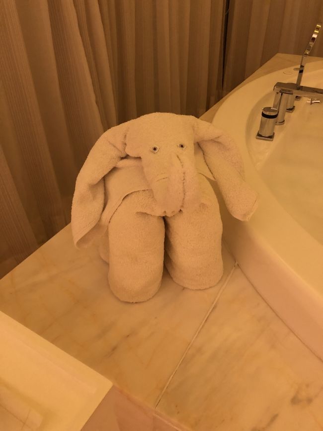 で、ジャグジーも入れてもらってあるので、、<br />新たなゾウさんとともに。<br />ではおやすみなさい！