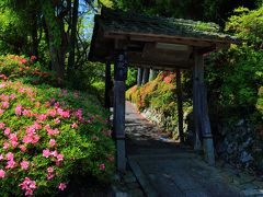 10：00　雲迎寺（うんこうじ）

さつき寺と呼ばれる雲迎寺では1000株のさつきが見頃終盤。


拝観料　無料（育成金の募金箱あり）
駐車場　無料