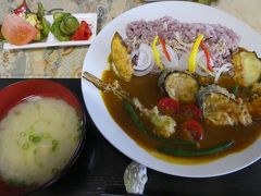 お昼。
途中、どこかでもらった桜島観光マップに載っていたカフェに行ってみることにしました。
自分の家の畑で採れた有機野菜で作ったカレー。
甘い野菜が、スパイシーなカレーによく合います。