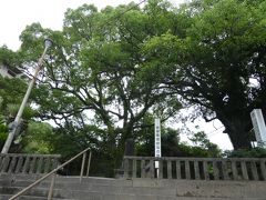 西郷隆盛終焉の地。
周囲は今は住宅地。
大きな樹木も植えられ、静かな一角です。
当時はどんな雰囲気だったのでしょうか。