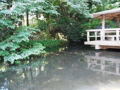 湧水を集めた「ひょうたん池」。
崖線に「わさび田」まである。