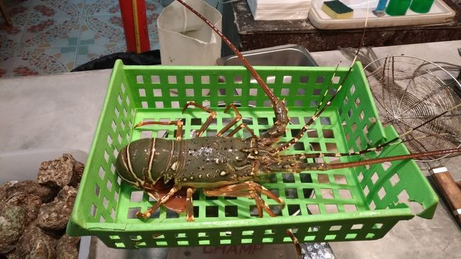 この日は旅友さんと合流のため一人では食べられないロブスターも食べます<br />実際に好きなロブスターを選びます。<br />これで６０００円ほどですがかなり大きいサイズです