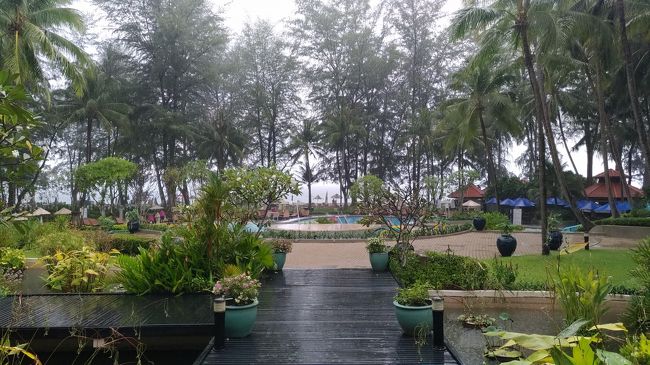 外へ散策へ行こうとするとスコール