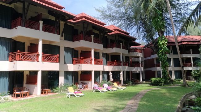 アイスも食べたので庭を散策します