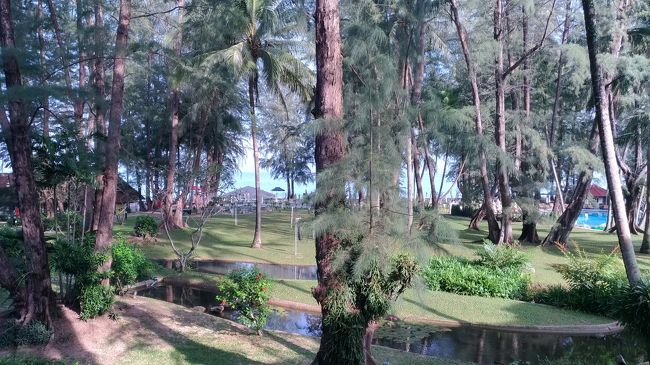 翌朝です<br />起きてこの景色本当最高です