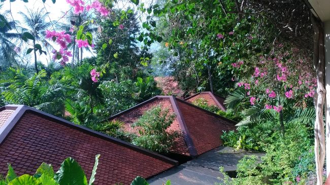 本日はプーケット最終日<br />朝から晴天です