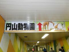 今日は朝から円山動物園に行きます。

大通公園から地下鉄東西線・宮の沢行きに乗り3駅目で

円山公園駅です。

