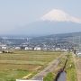 タイ人社員旅行の引率してみた（伊賀ー京都ー大阪）