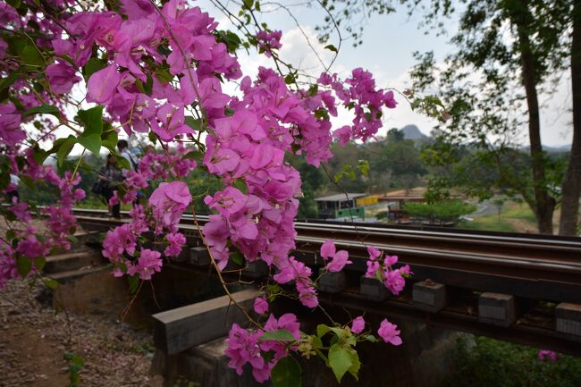 カンチャナブリまで戻ります。100バーツ。<br />タムクラセ13時半頃発　戦場に架ける橋駅15時頃着<br />ローカル車両に乗ろうとしたら怒られました。<br />通行時の動画（崖側）です。<br />https://youtu.be/Uih7kiiEedM<br />